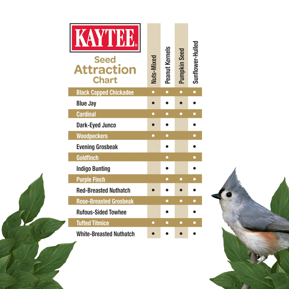 Kaytee cranberries and cherries at feeder convey premium flavor and variety.