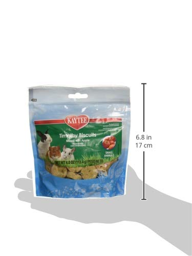 Kaytee dental-friendly chew treat image suggesting dental health benefit