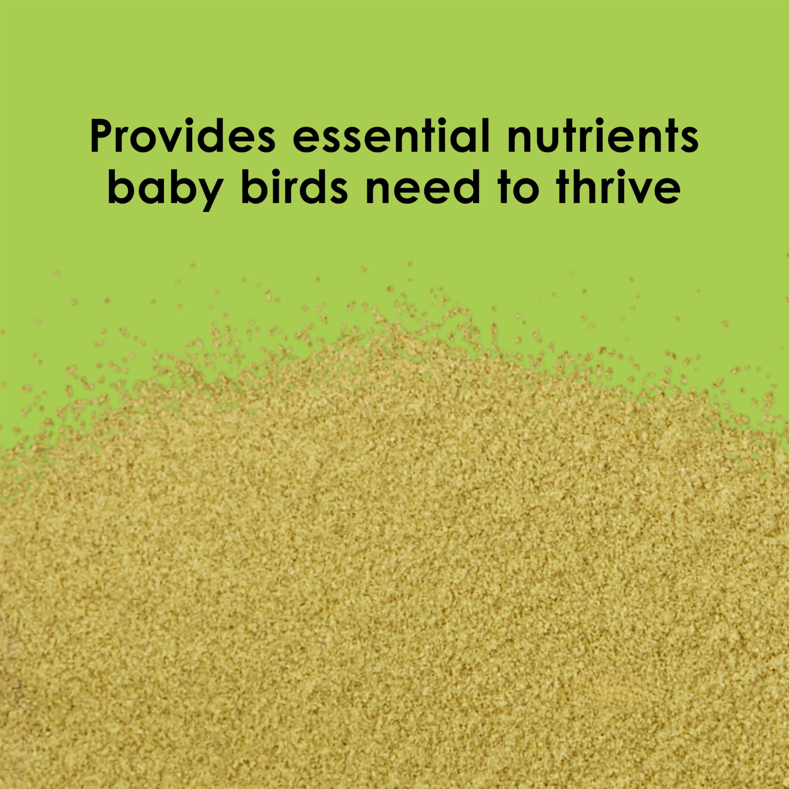 Kaytee Exact digestive enzymes close-up emphasizing easier digestion during weaning.