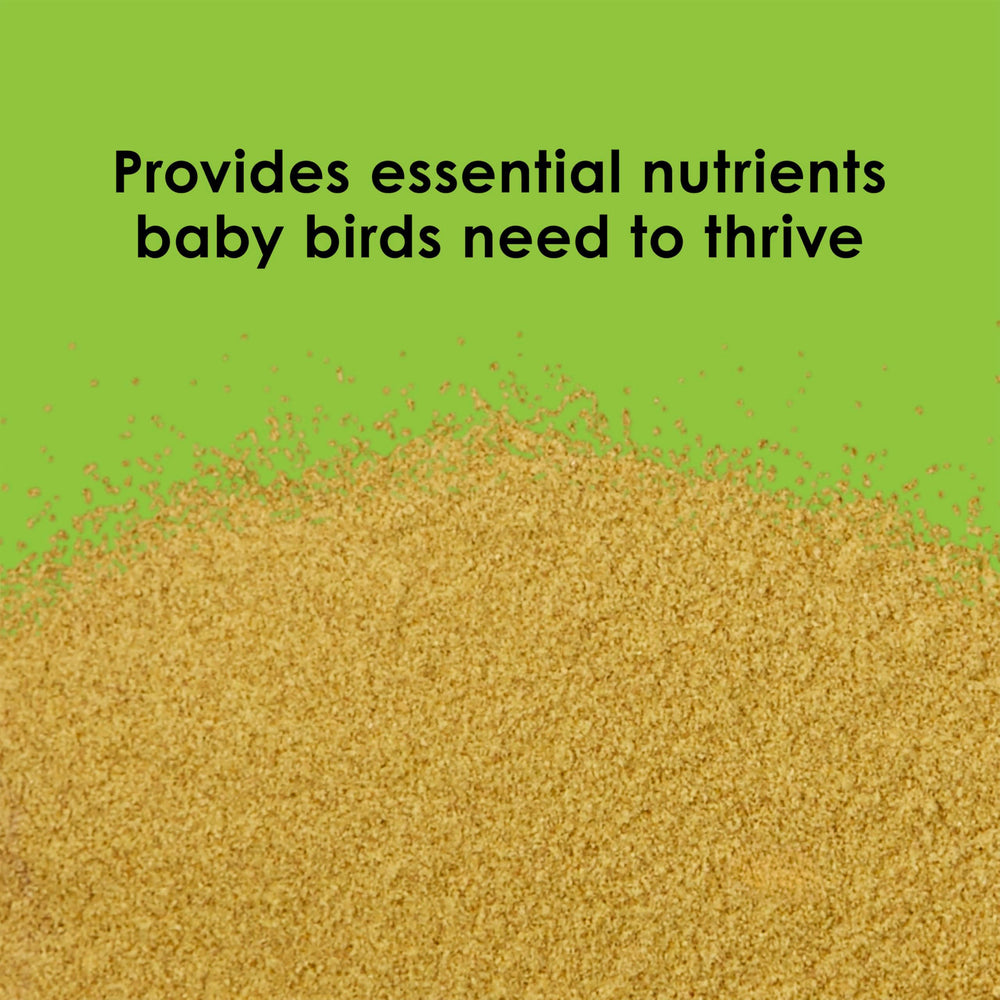 Kaytee Exact digestive enzymes close-up emphasizing easier digestion during weaning.