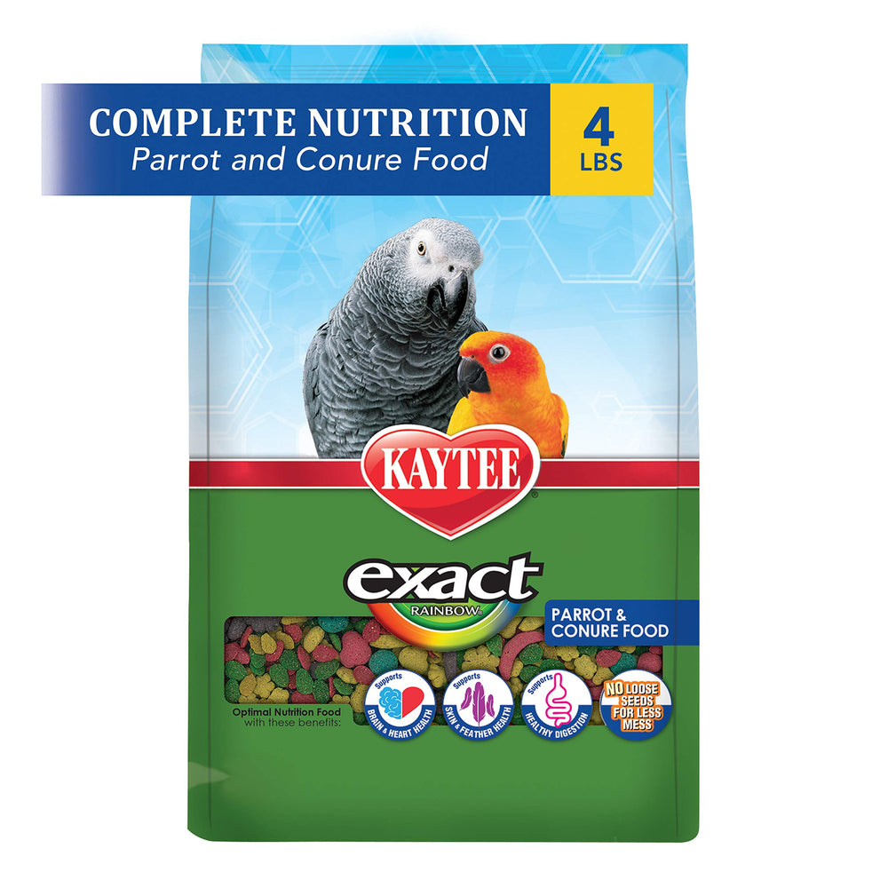 Kaytee Exact Rainbow conure-food-nuggets on dish supports balanced nutrition.