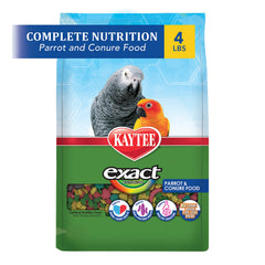 Kaytee Exact Rainbow conure-food-nuggets on dish supports balanced nutrition.