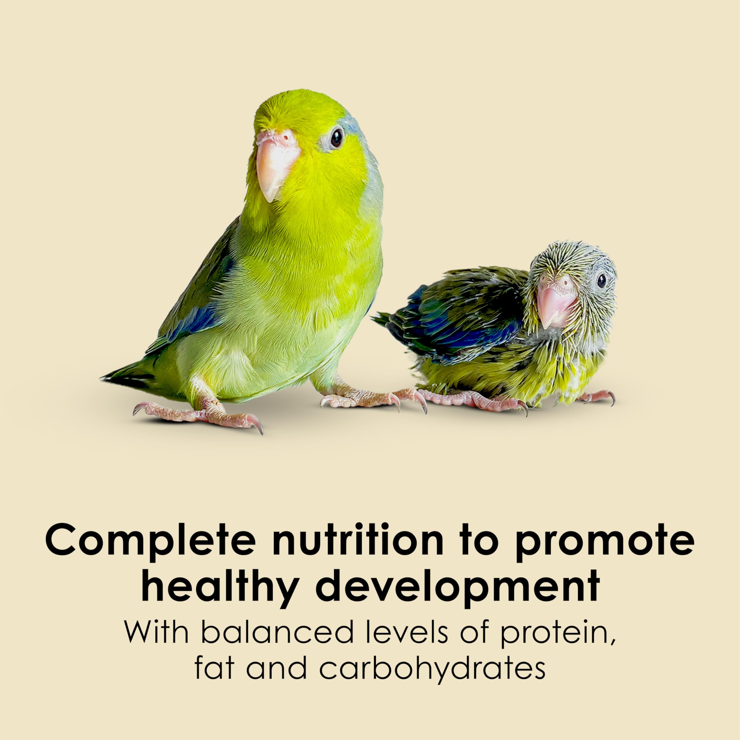 Kaytee Exact weaning compatibility image shows transition to adult diet reducing digestion upset.