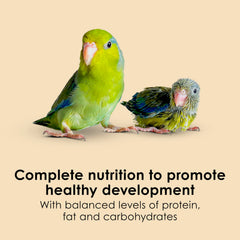 Kaytee Exact weaning compatibility image shows transition to adult diet reducing digestion upset.