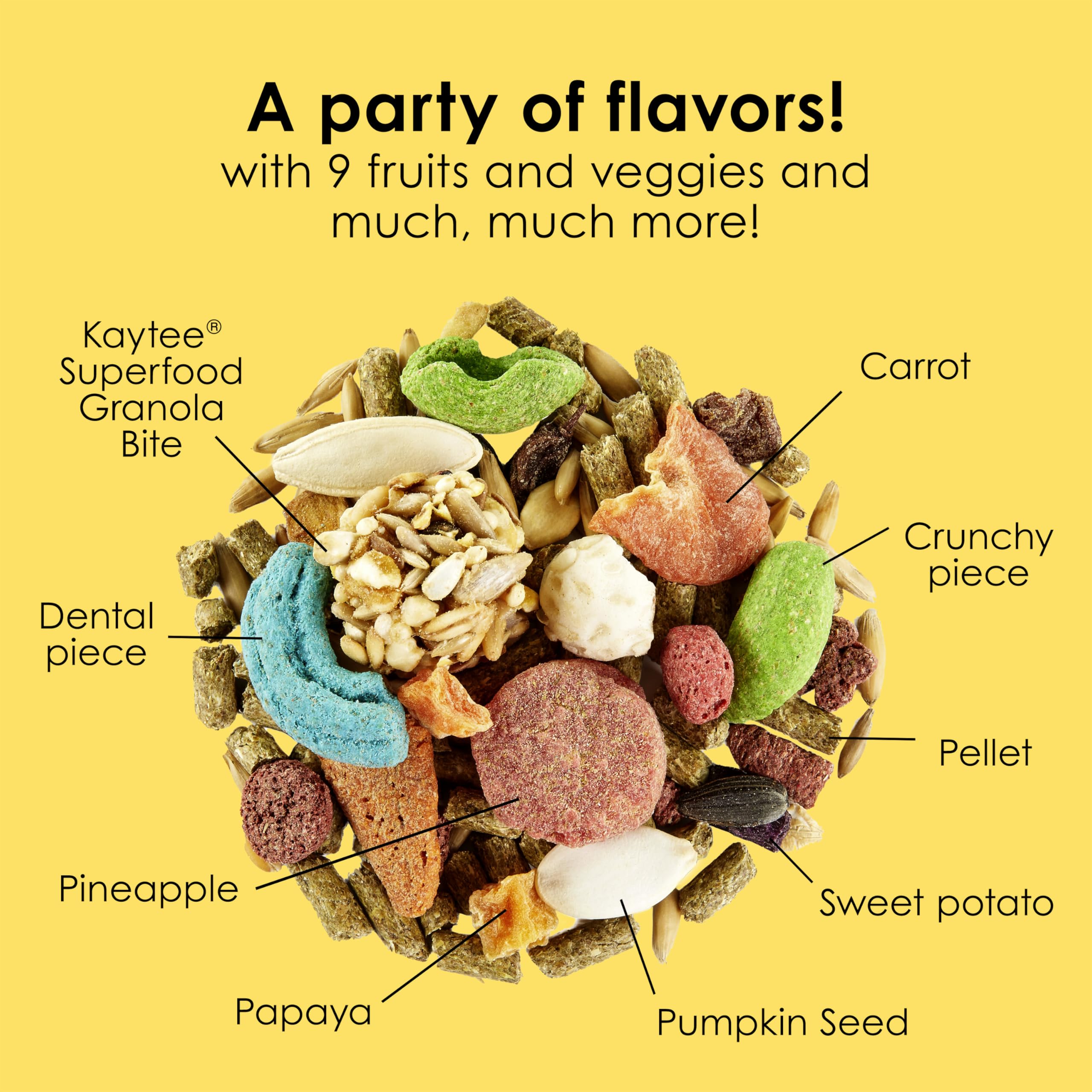 Kaytee Fiesta 25-lb packaging illustrates bulk value for households.