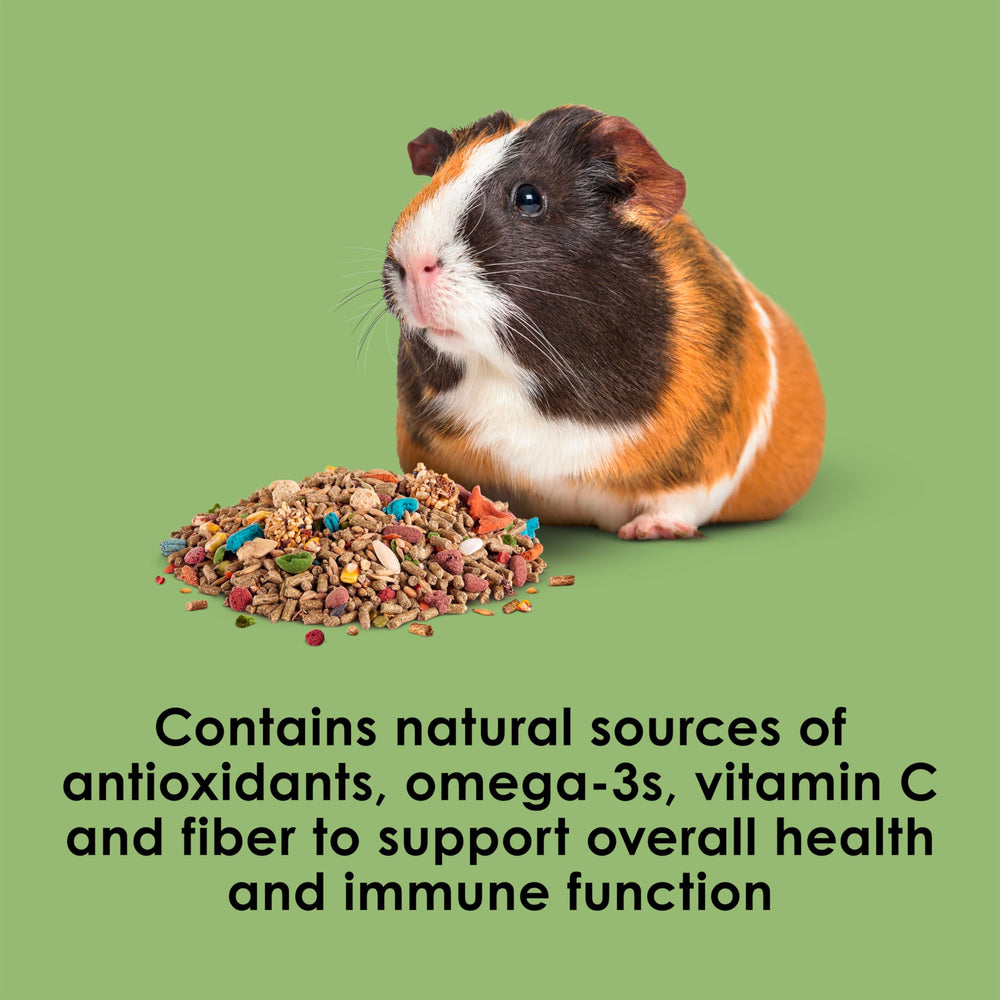 Kaytee Fiesta natural antioxidants support immune health and vitality.