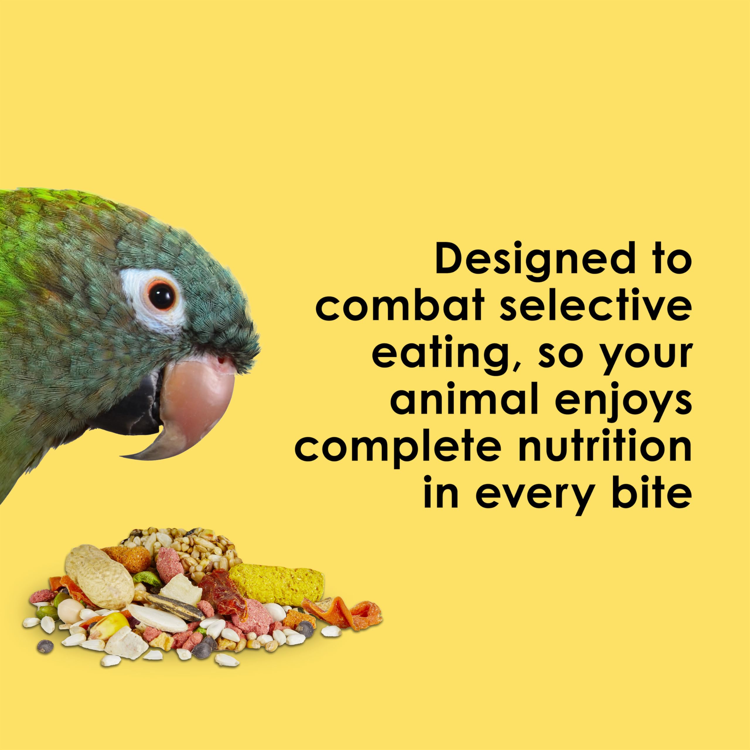 Kaytee Fiesta Big Bites rich in antioxidants and omega-3s for immune and brain support