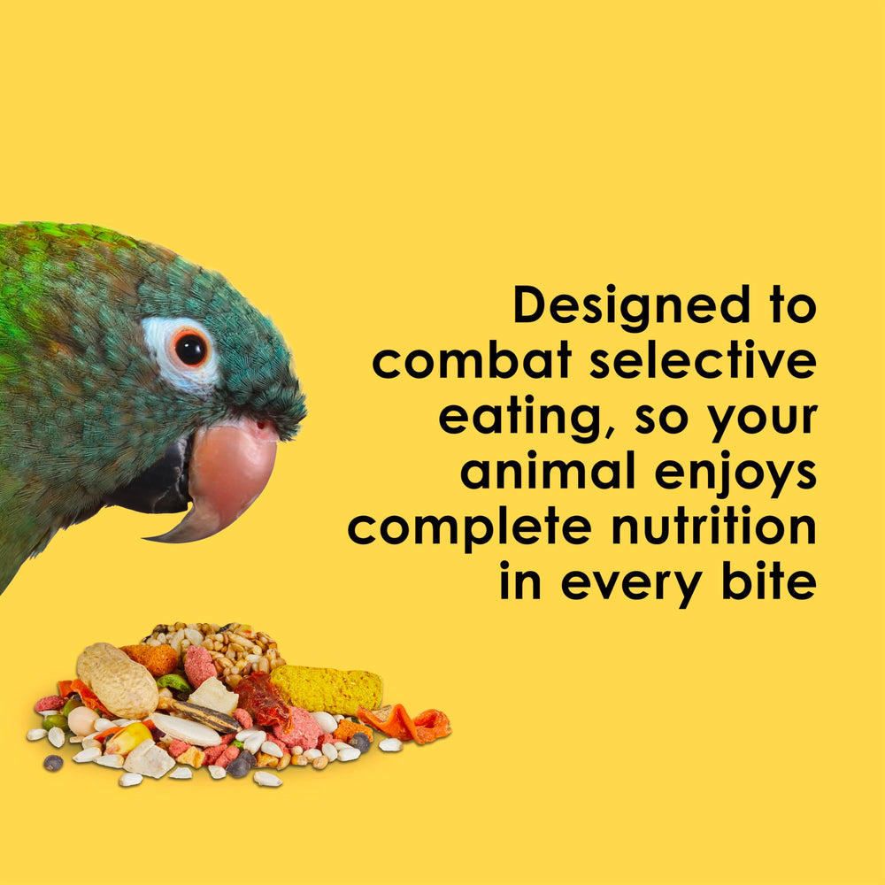 Kaytee Fiesta Big Bites rich in antioxidants and omega-3s for immune and brain support