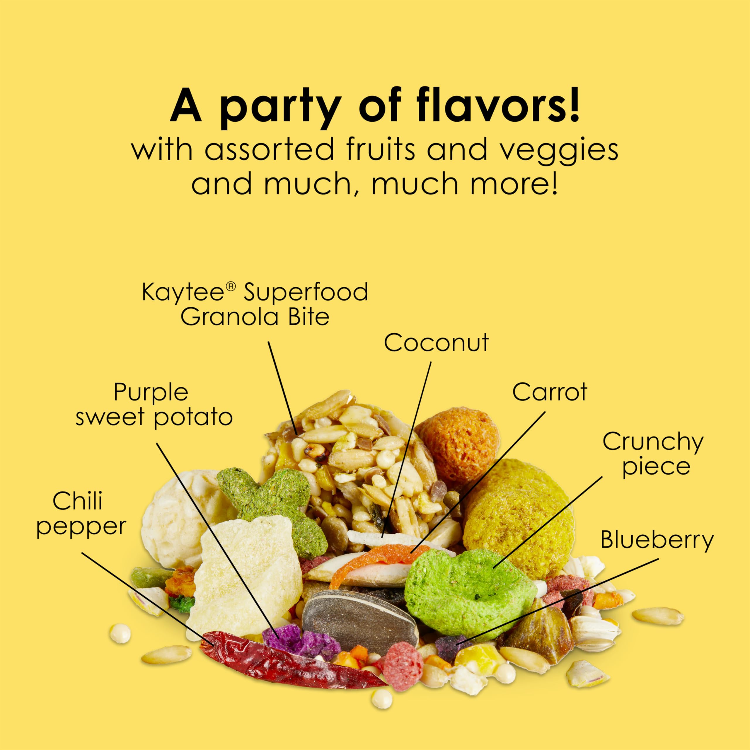 Kaytee Fiesta conure food brain and heart health through balanced ingredients.