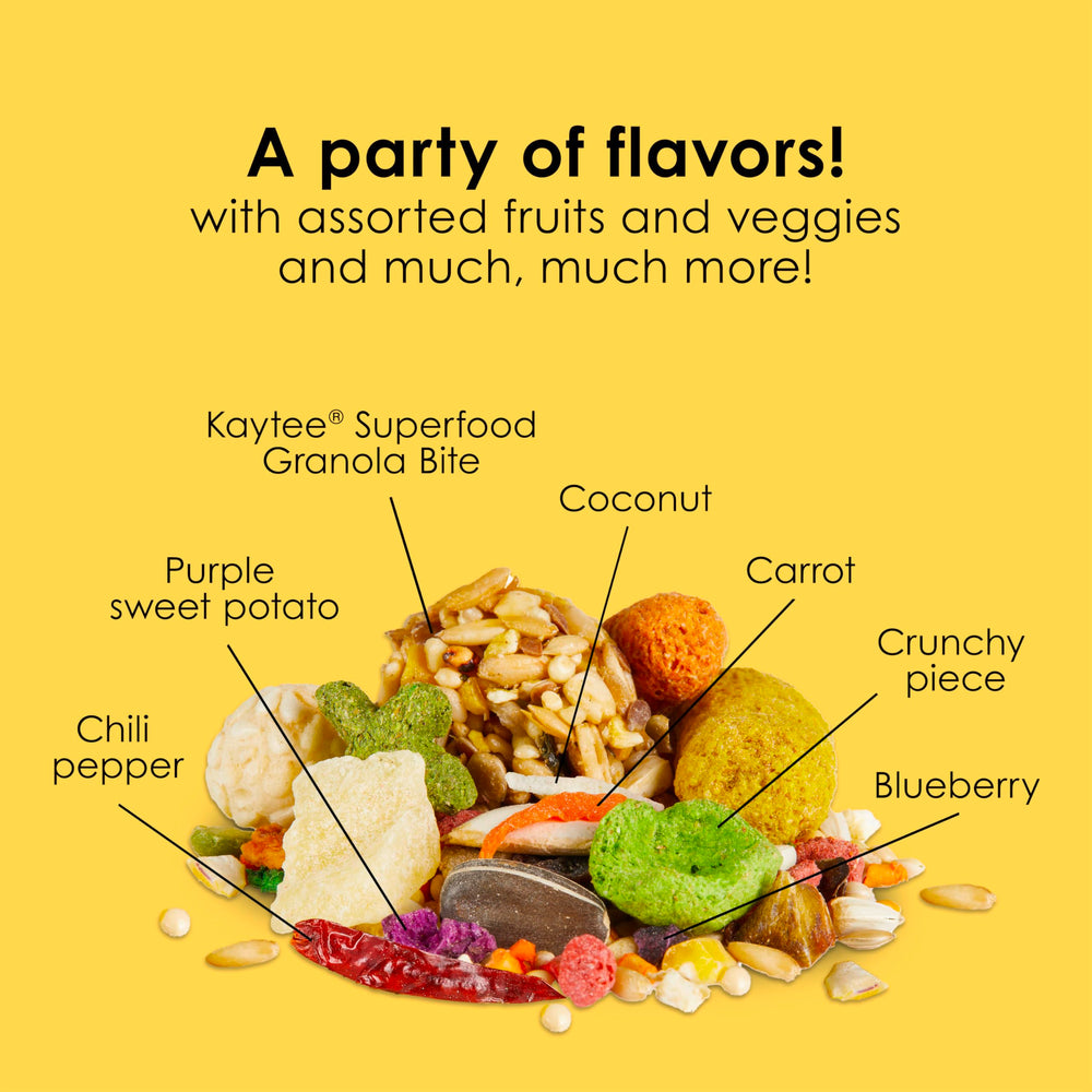 Kaytee Fiesta conure food brain and heart health through balanced ingredients.
