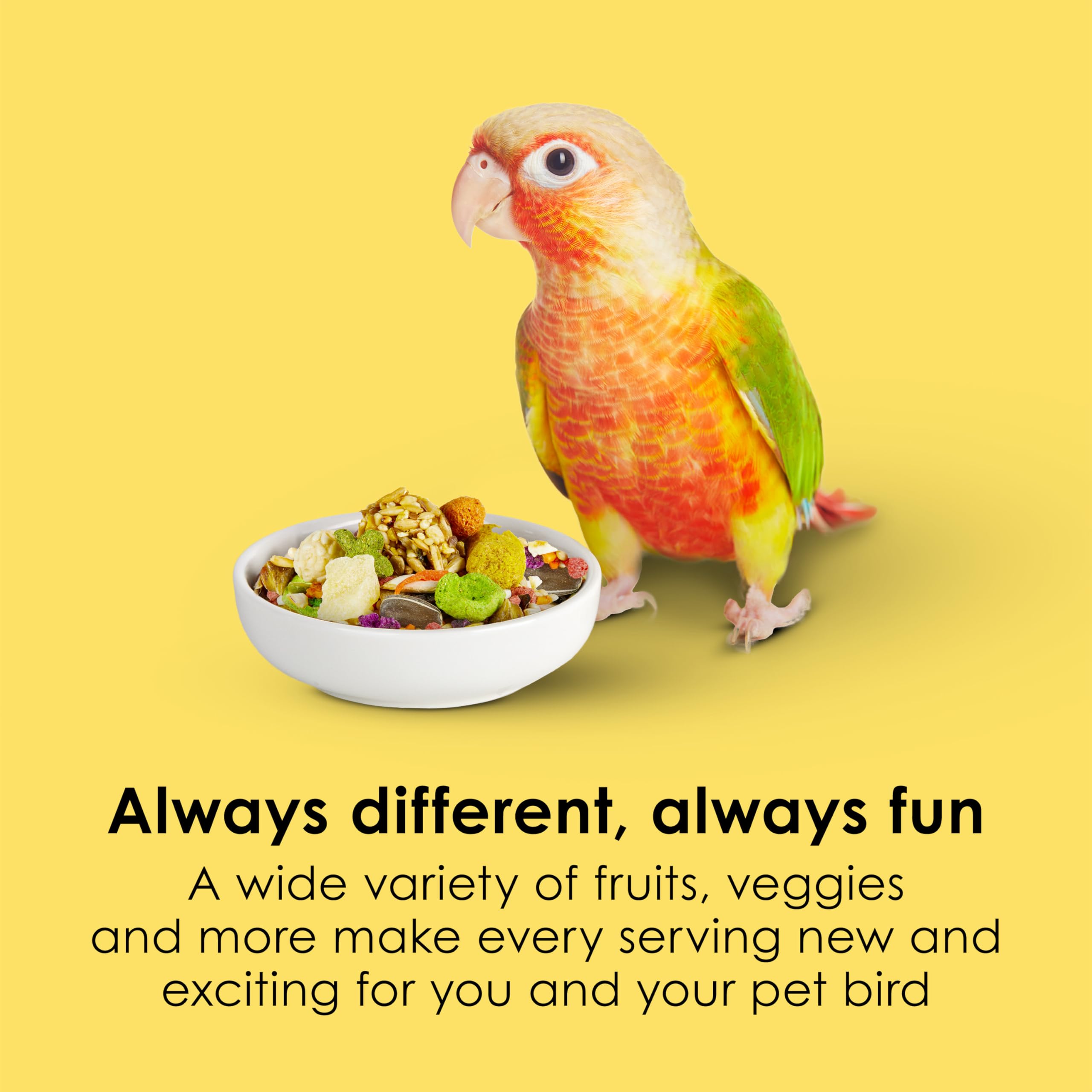 Kaytee Fiesta conure food fruit–vegetable blend supports balanced nutrition.