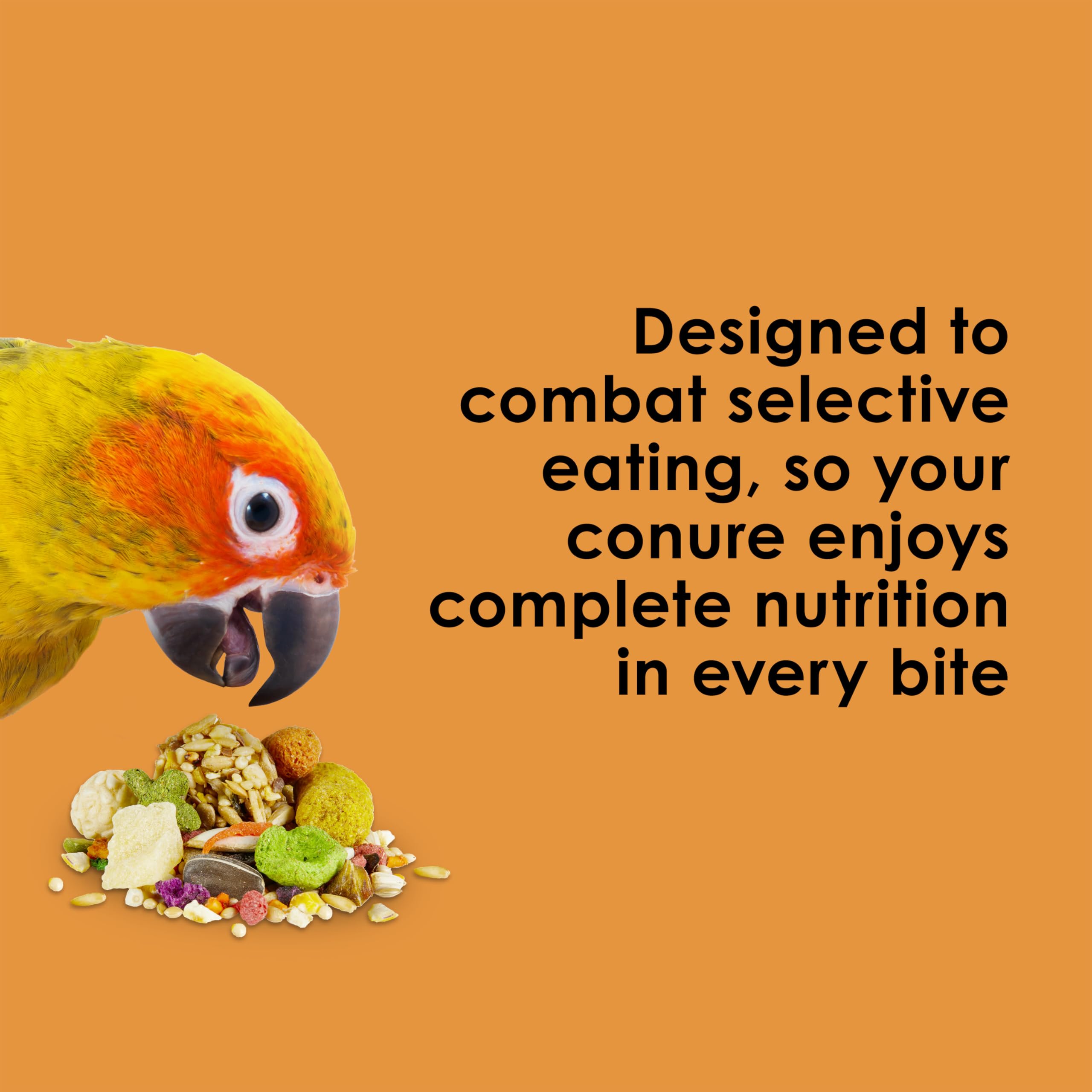 Kaytee Fiesta conure food shapes and chunks invite exploration during meals.