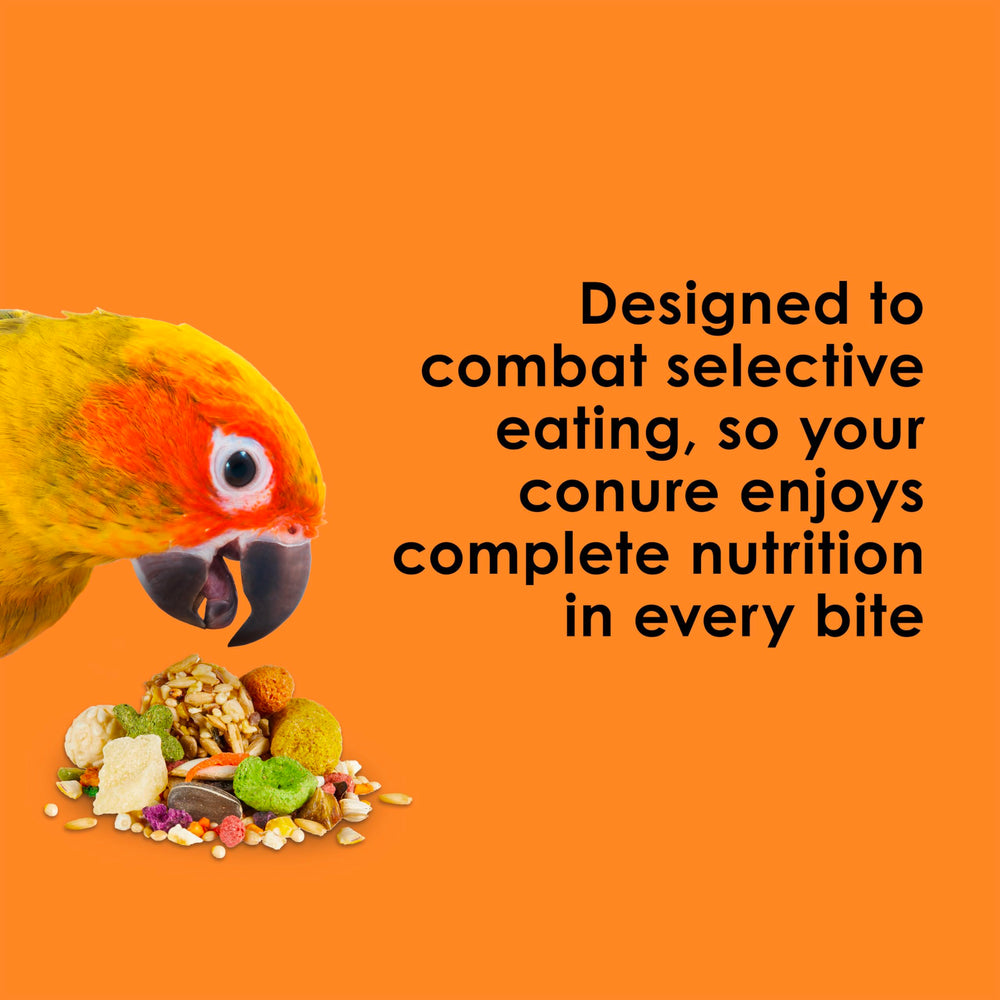 Kaytee Fiesta conure food shapes and chunks invite exploration during meals.