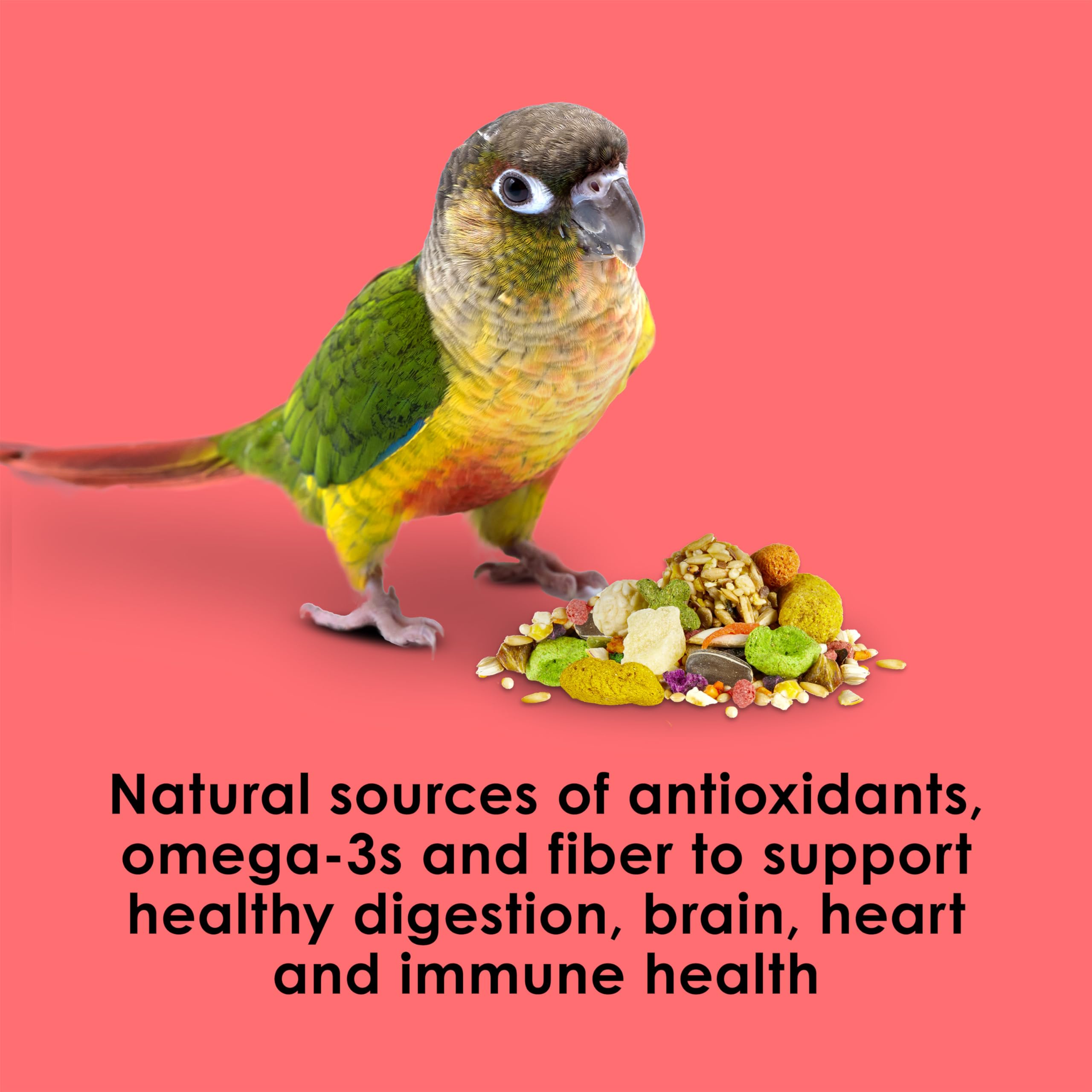 Kaytee Fiesta conure food skin and feather health promotes vibrant plumage.