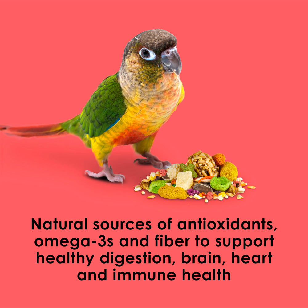 Kaytee Fiesta conure food skin and feather health promotes vibrant plumage.