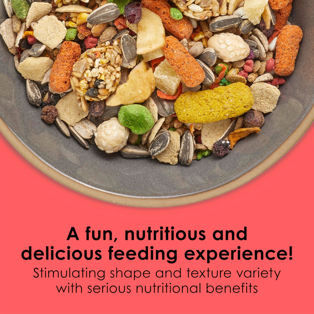 Kaytee Fiesta conure food textures invite interactive feeding and play.