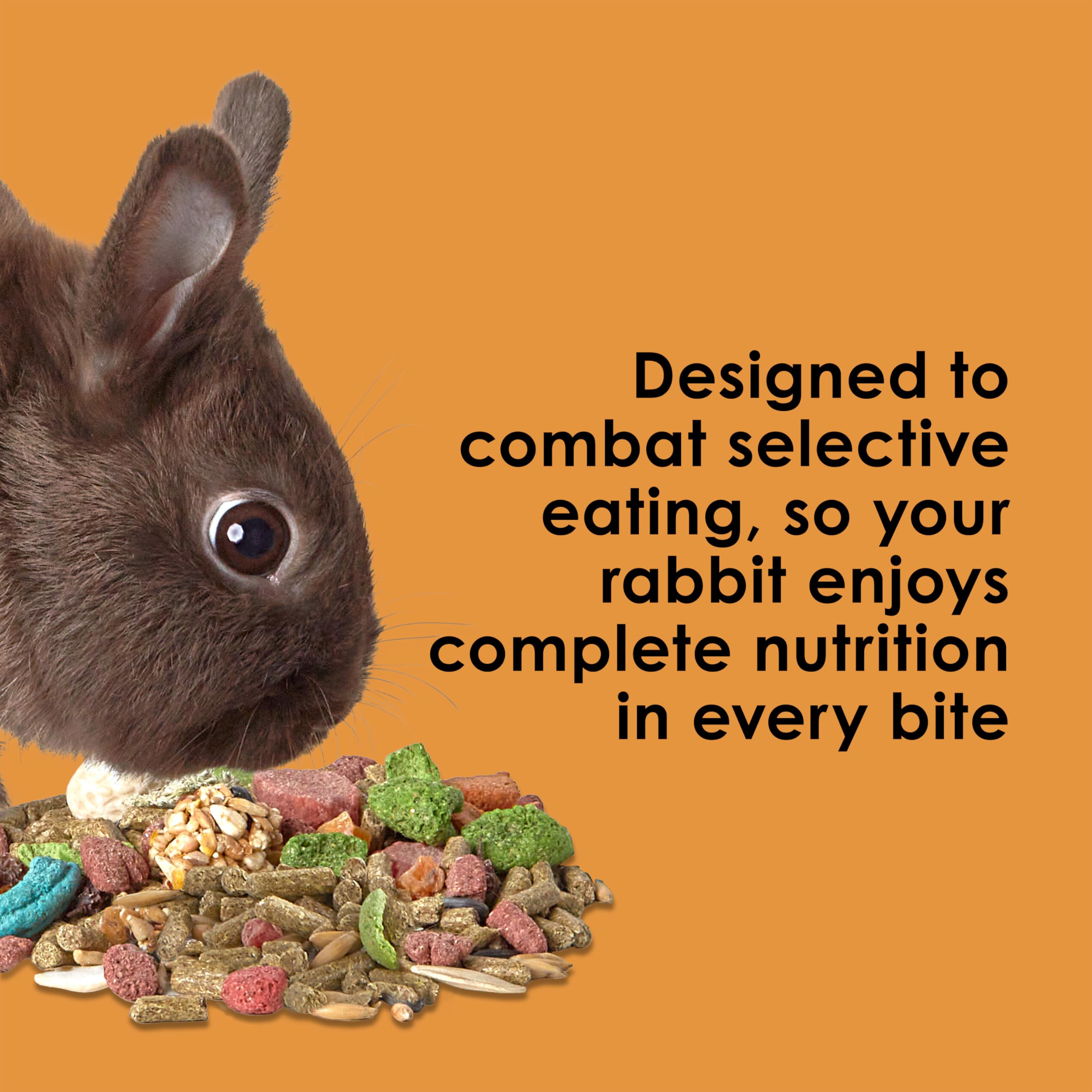 Kaytee Fiesta dental-chewing-activity: diverse shapes promote natural chewing behavior.
