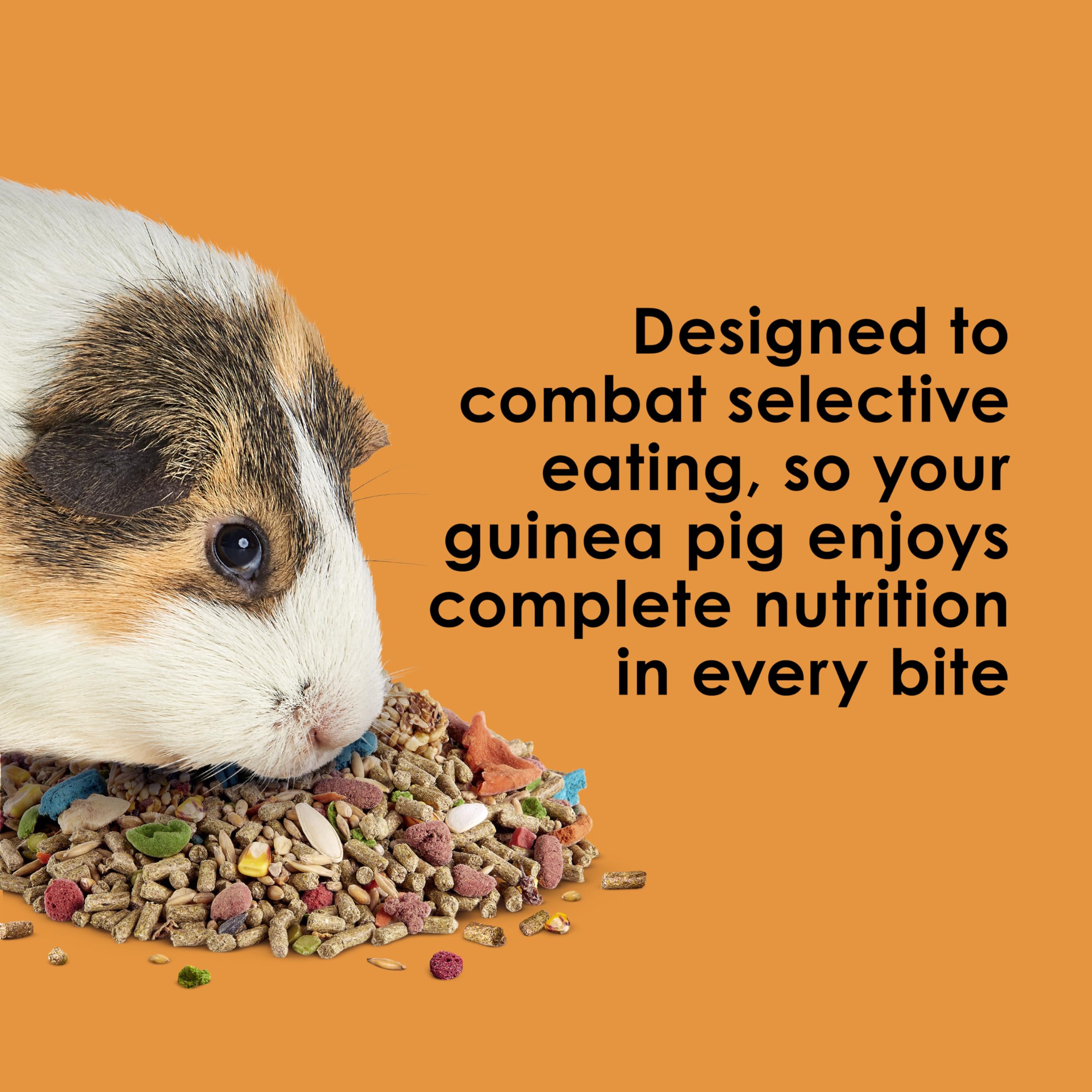 Kaytee Fiesta dental-friendly textures promote healthy chewing habits.