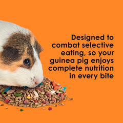 Kaytee Fiesta dental-friendly textures promote healthy chewing habits.