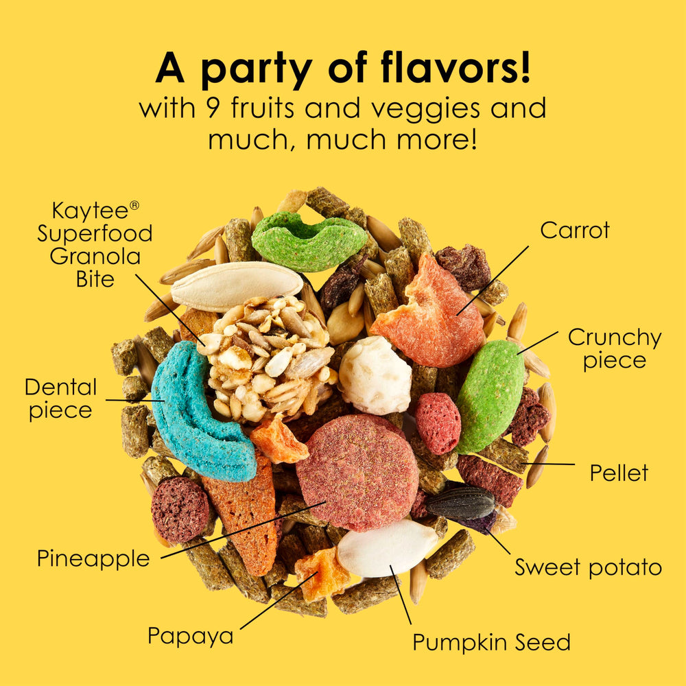 Kaytee Fiesta foraging-enrichment: stimulates rabbits' foraging instincts during meals.