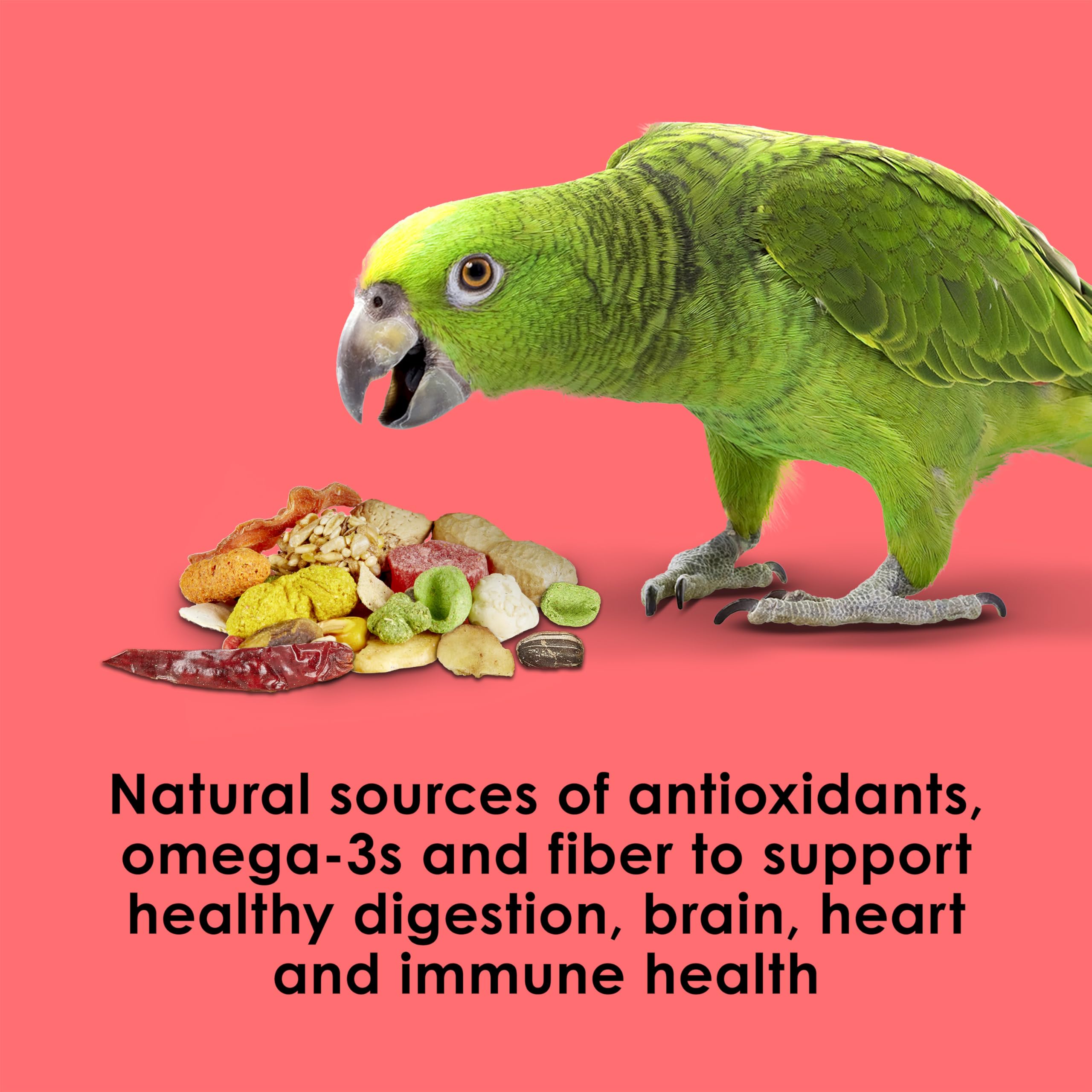 Kaytee Fiesta omega-3s and probiotics support overall health