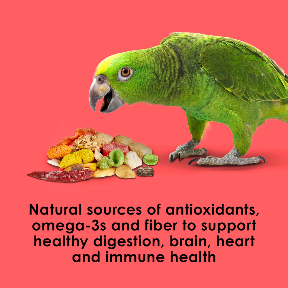 Kaytee Fiesta omega-3s and probiotics support overall health