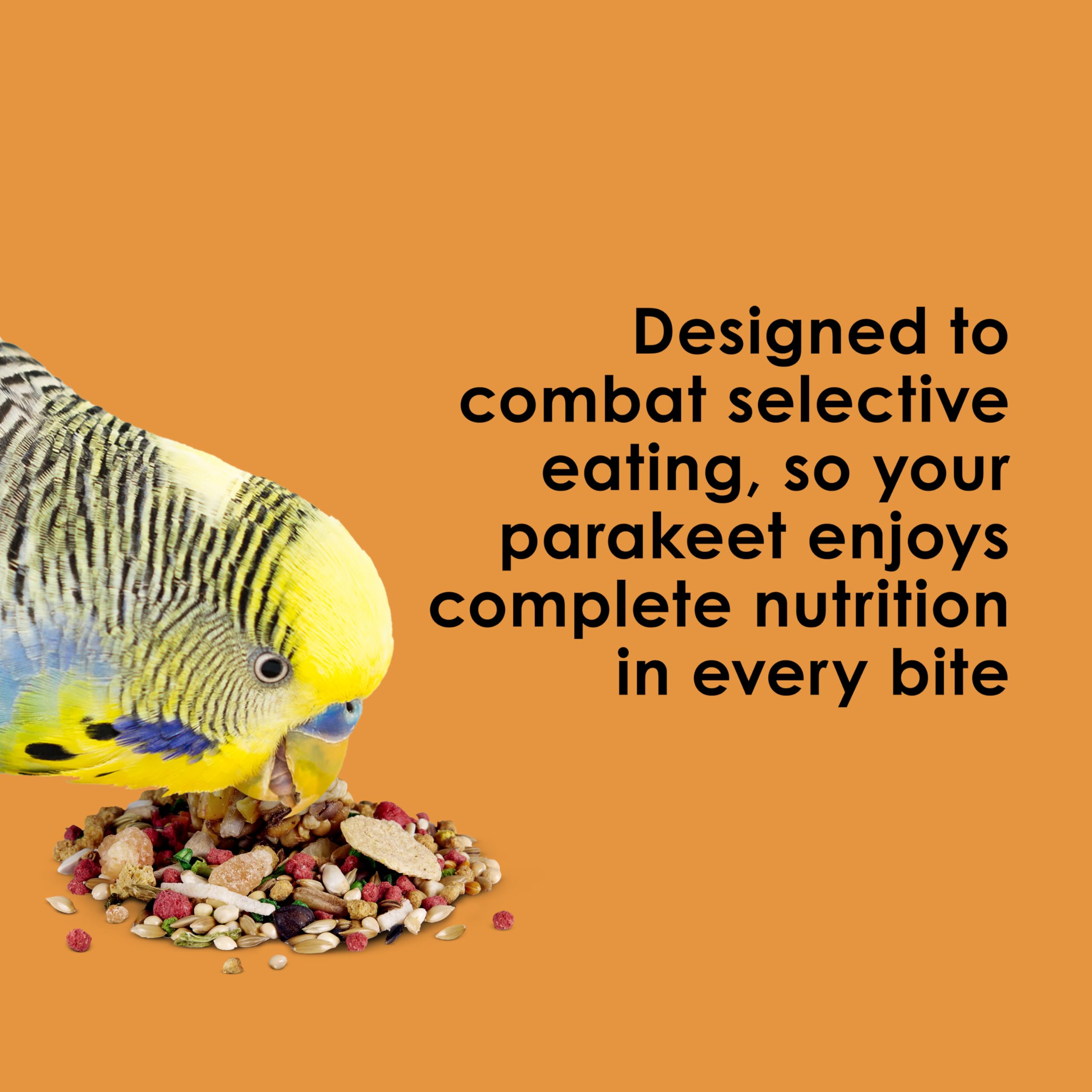 Kaytee Fiesta parakeet food skin and feather health for vibrant plumage