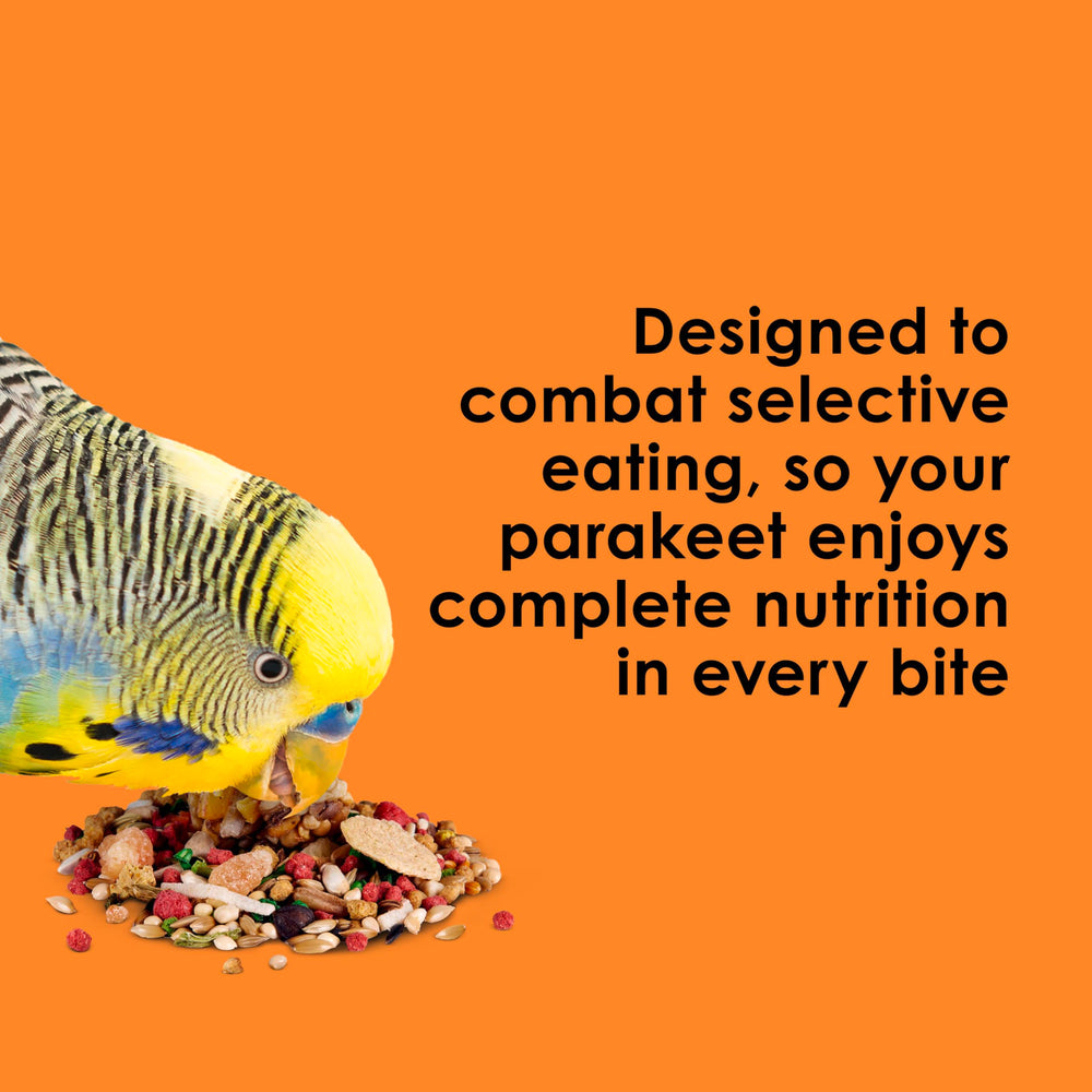 Kaytee Fiesta parakeet food skin and feather health for vibrant plumage