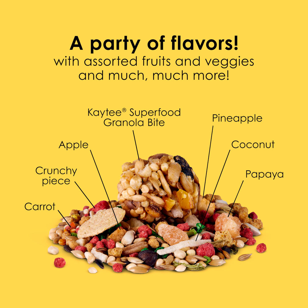 Kaytee Fiesta parakeet food brain and heart health through nutrition