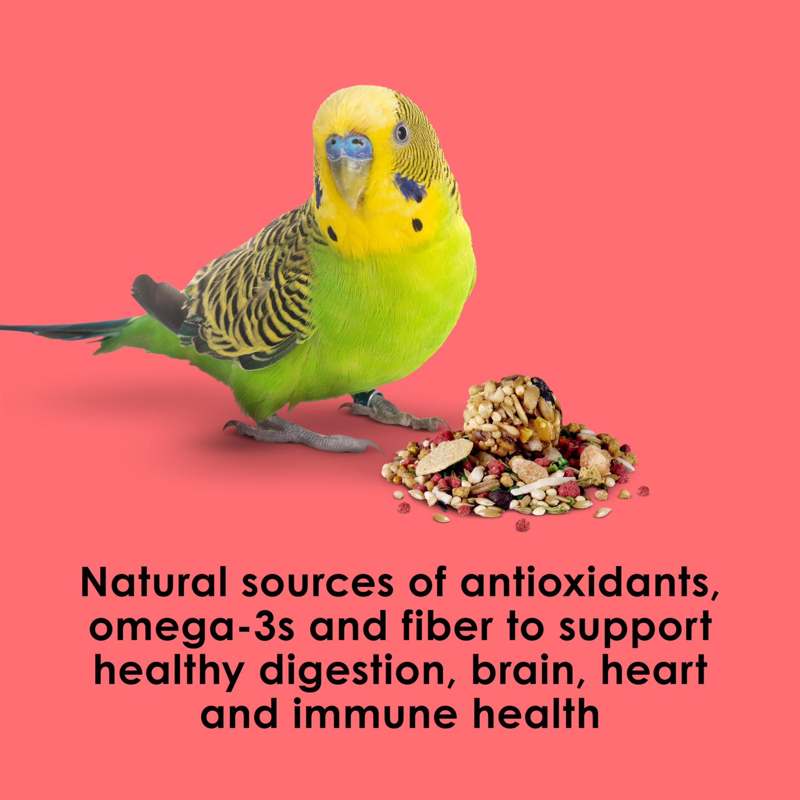 Kaytee Fiesta parakeet food digestive support from enriched blend