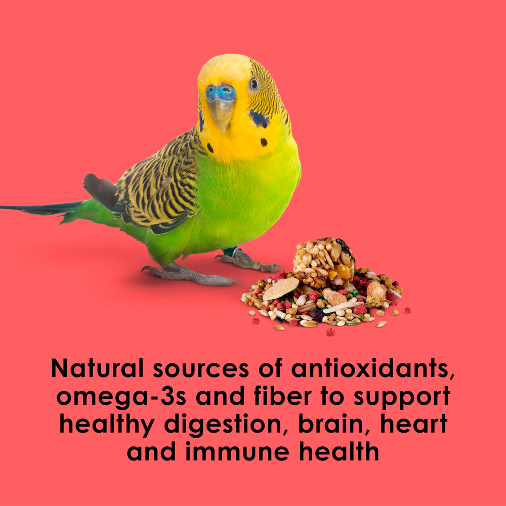 Kaytee Fiesta parakeet food digestive support from enriched blend