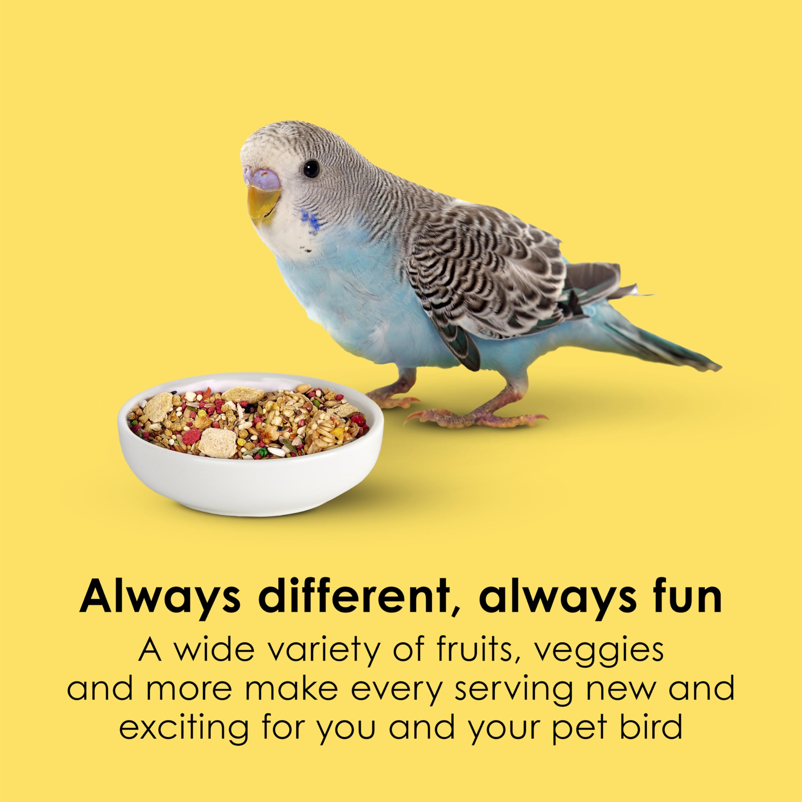 Kaytee Fiesta parakeet food antioxidants omega-3 probiotics for health