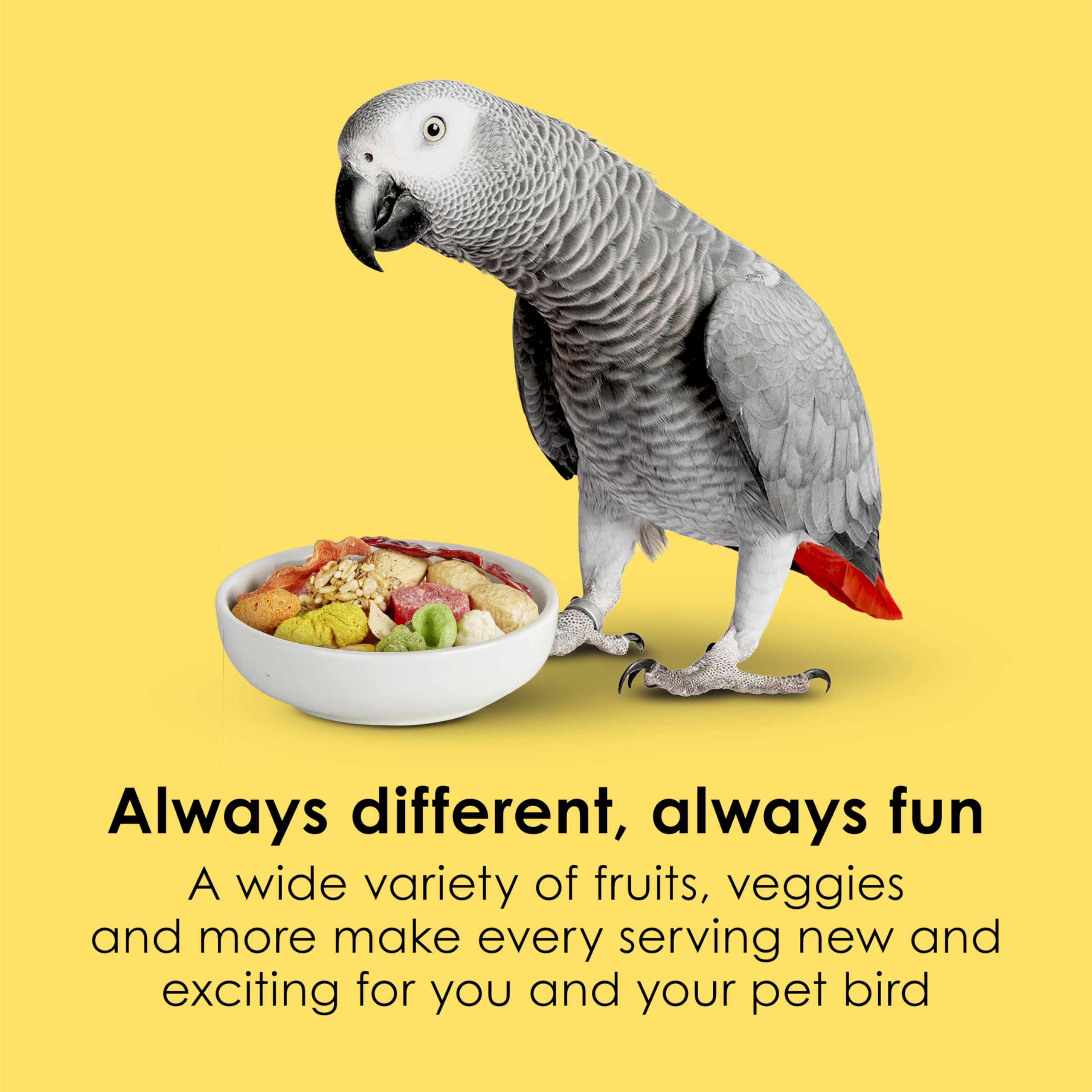Kaytee Fiesta parrot food ingredient mix highlights diverse grains and fruits.