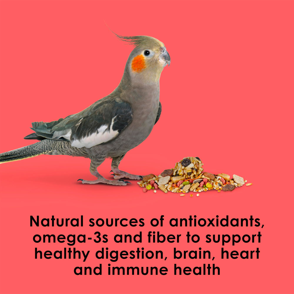 Skin and feather health benefits help maintain vibrant plumage