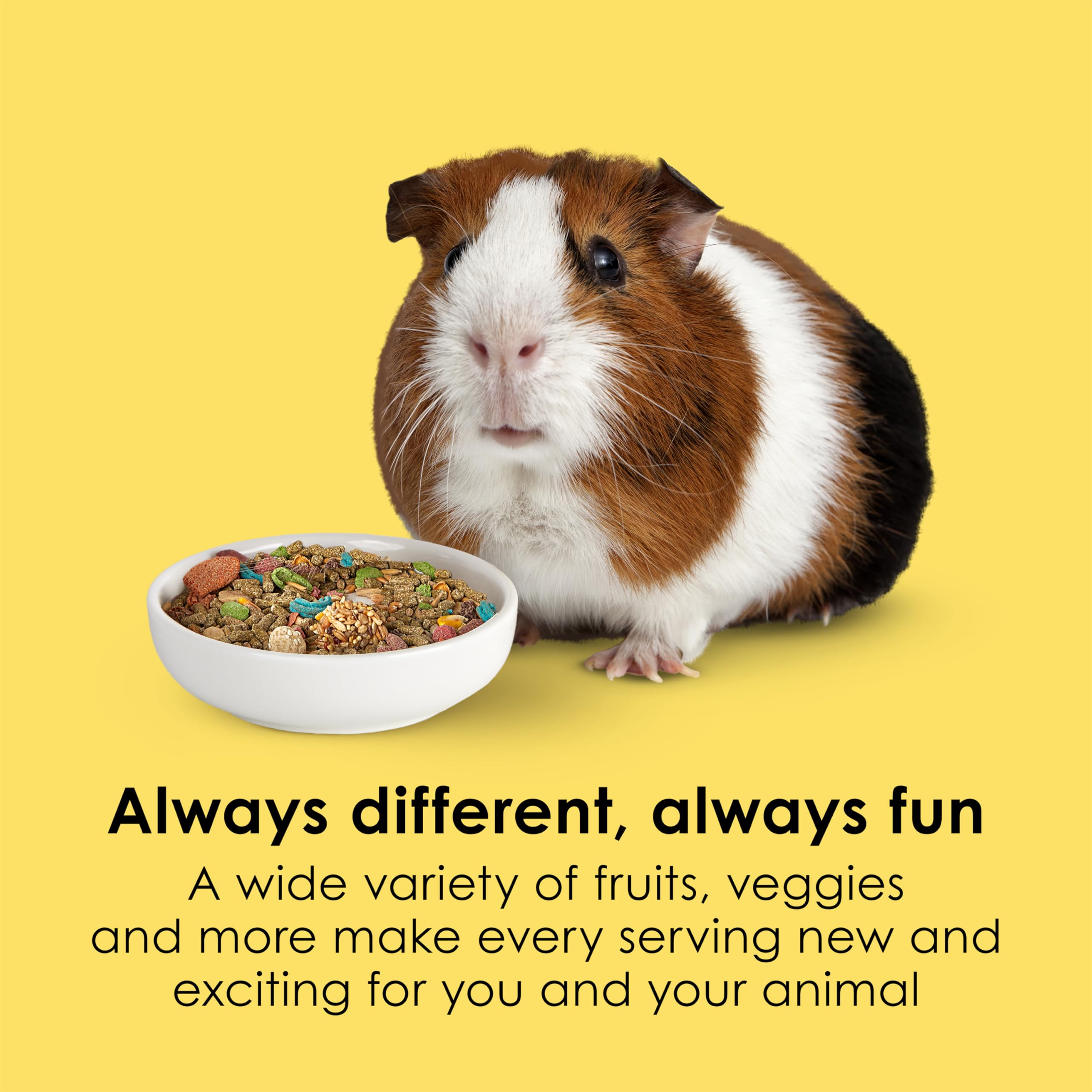 Kaytee Fiesta textured kibble variety encourages chewing and curiosity.