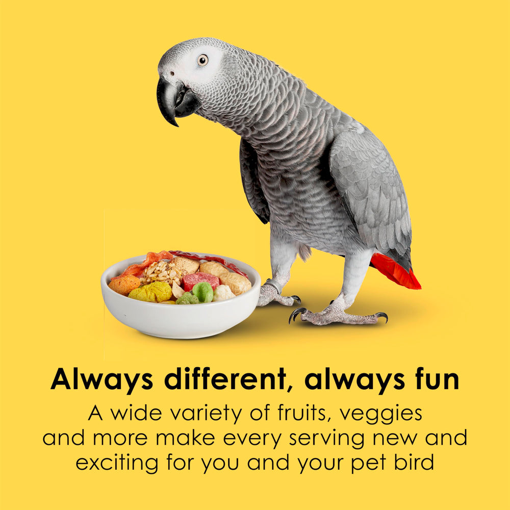 Kaytee Fiesta textures and shapes designed for interactive feeding