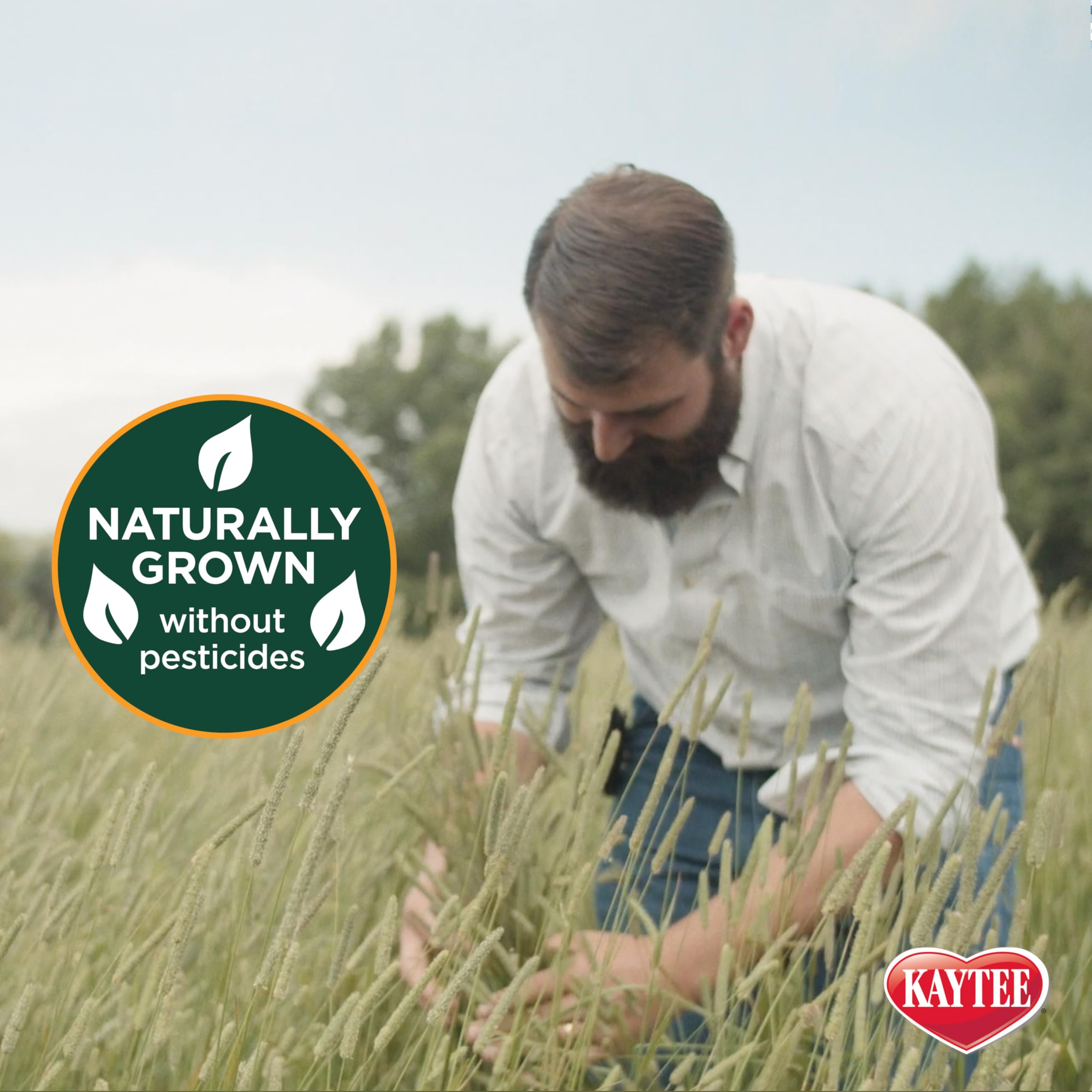 Kaytee First Cut Timothy Hay promotes leaf-to-stem balance for palatability and nutrition.