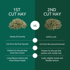 Kaytee First Cut Timothy Hay highlights long fiber strands ideal for grazing and dental wear.
