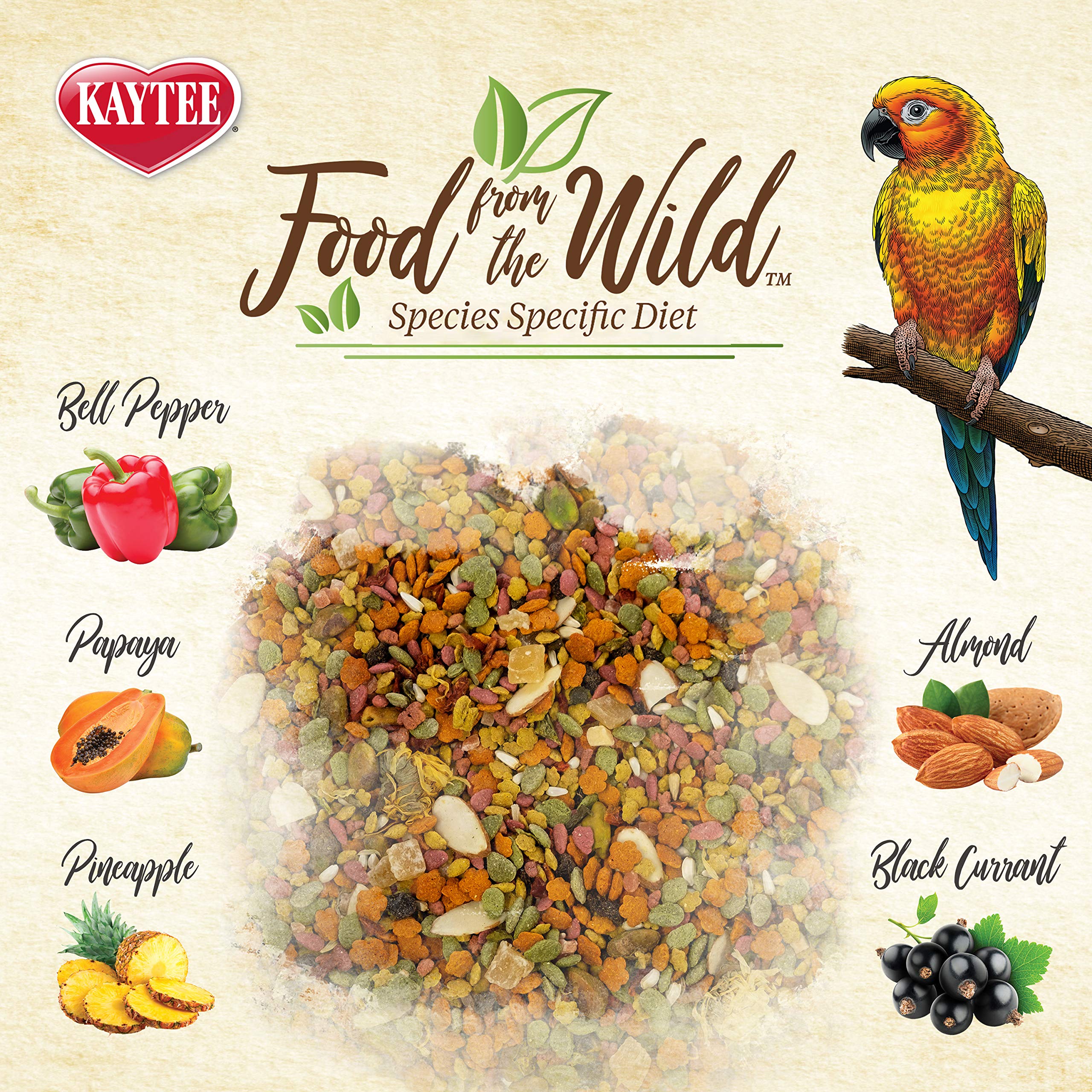 Kaytee Food From the Wild Conure black currants provide antioxidants and foraging variety.