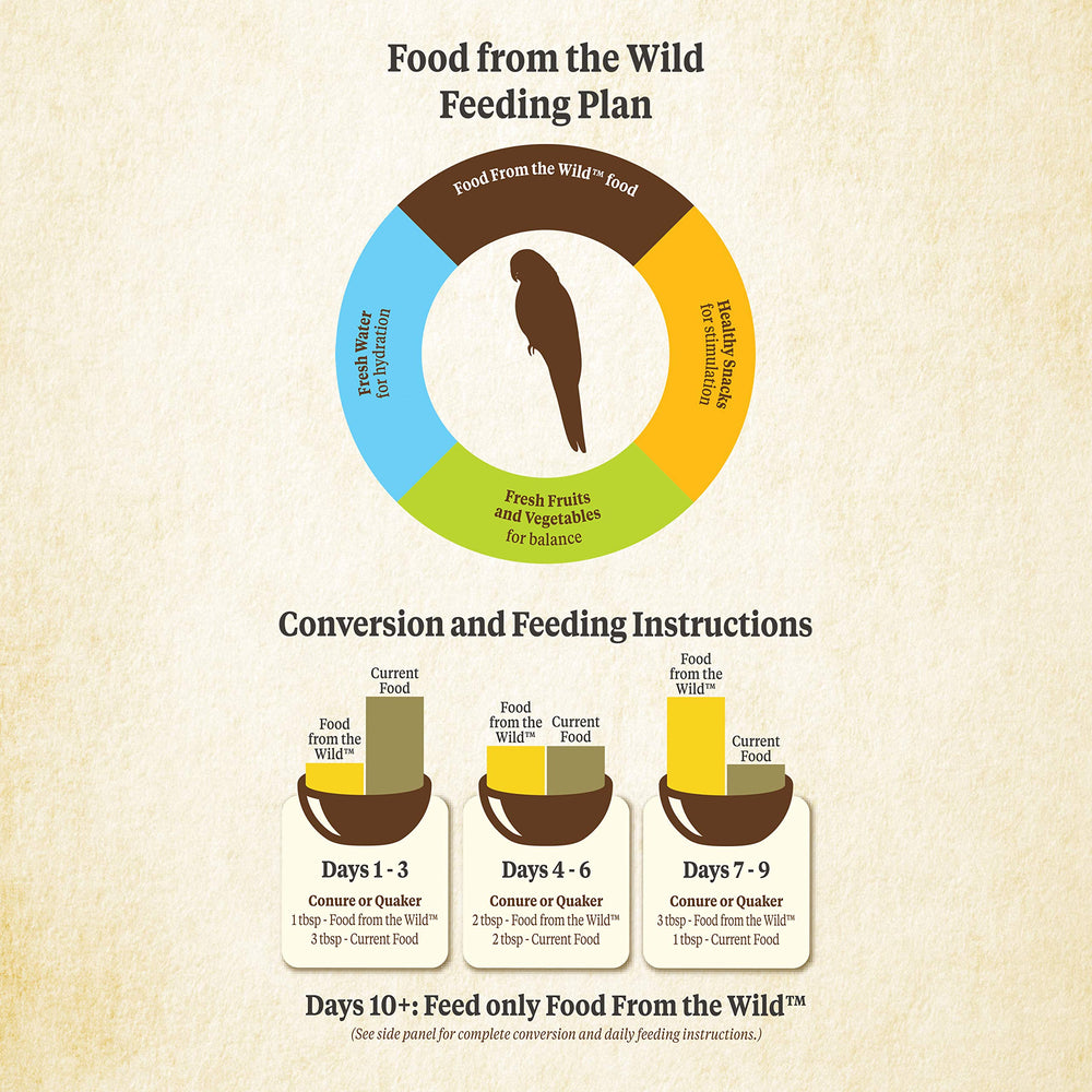 Kaytee Food From the Wild Conure foraging textures encourage problem-solving during meals.