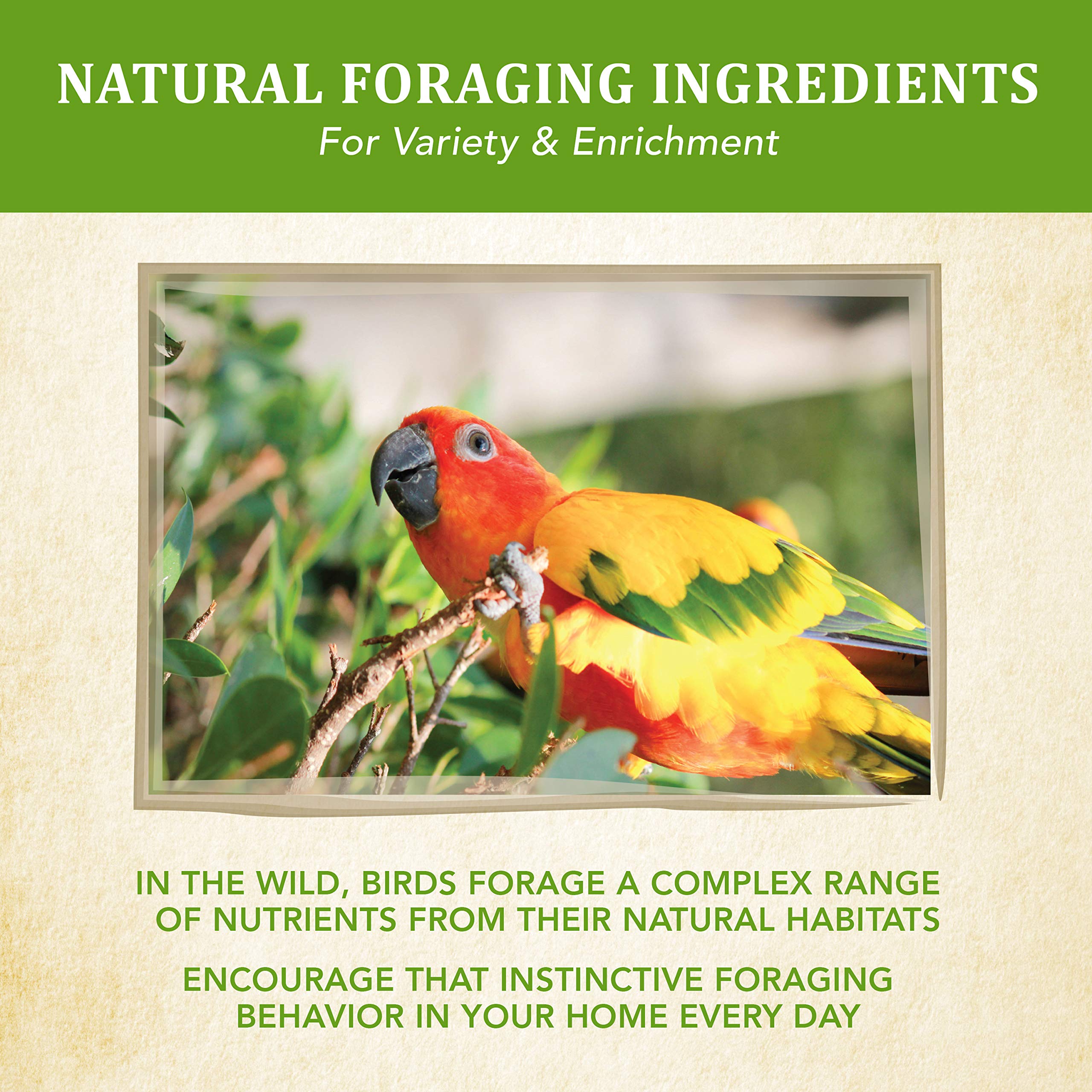 Kaytee Food From the Wild Conure pineapples deliver tropical sweetness and engaging bite sizes for enrichment.