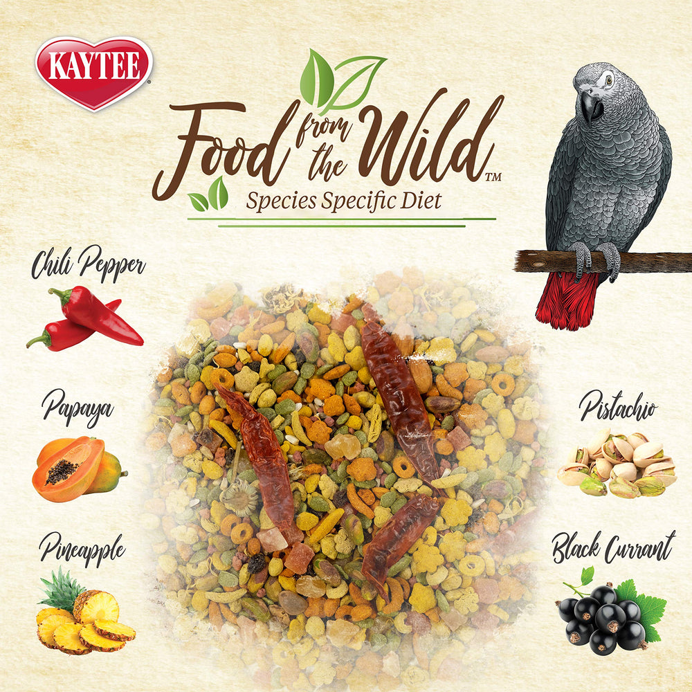 Bird foraging activity image illustrating instinct to explore and pick.