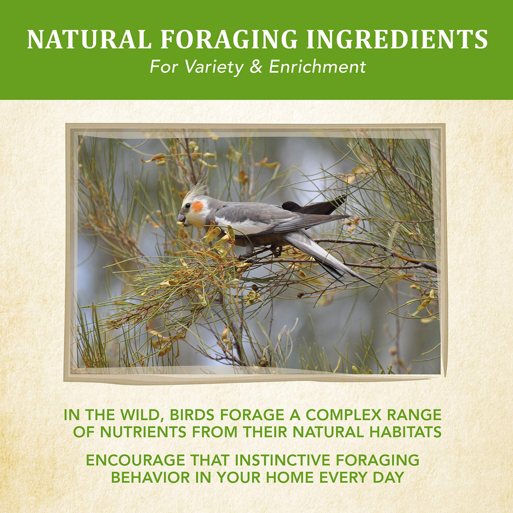 Kaytee foraging textures image demonstrates varied shapes for mental stimulation.