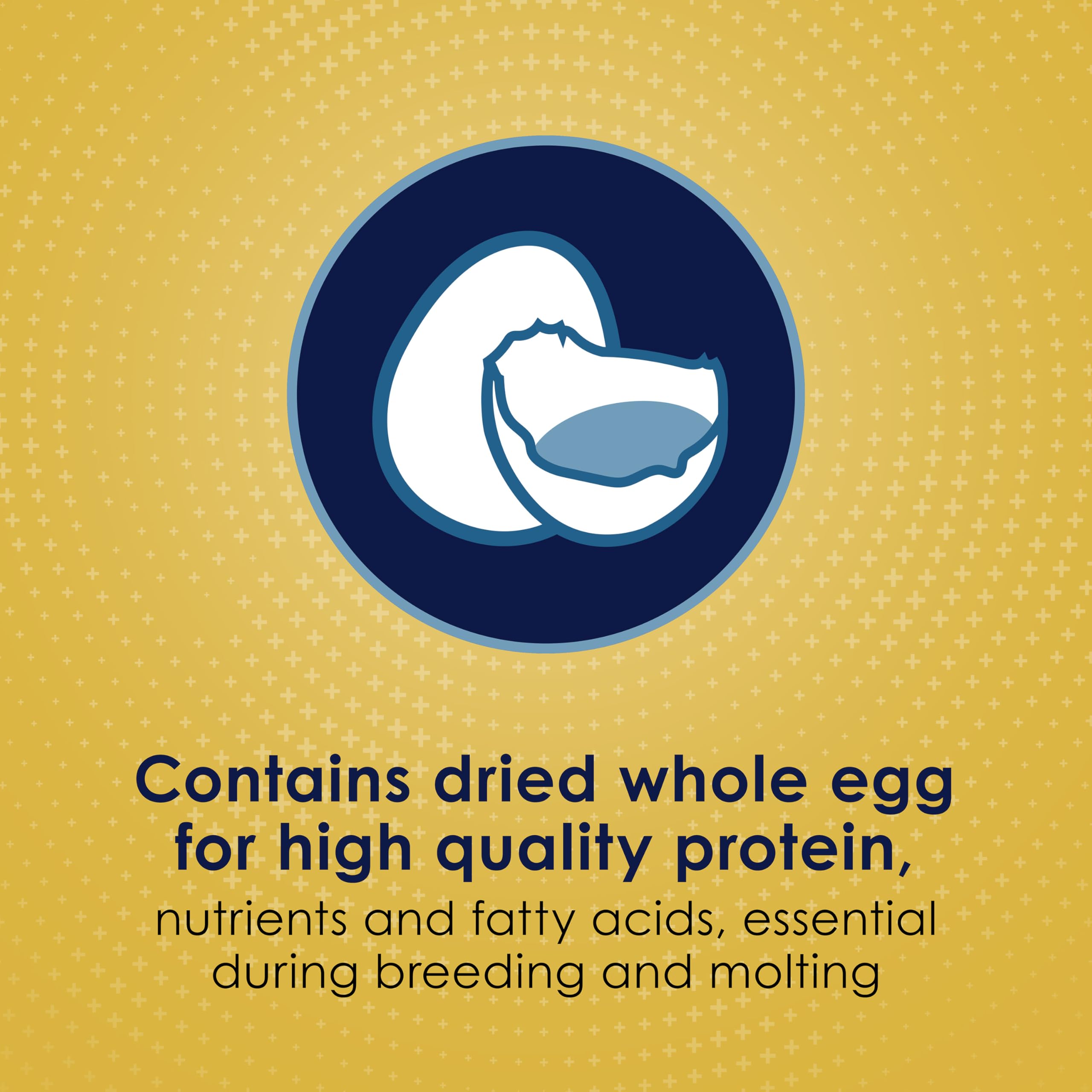 Kaytee Forti-Diet Pro Health Egg-Cite meal image highlights omega-3s and antioxidants