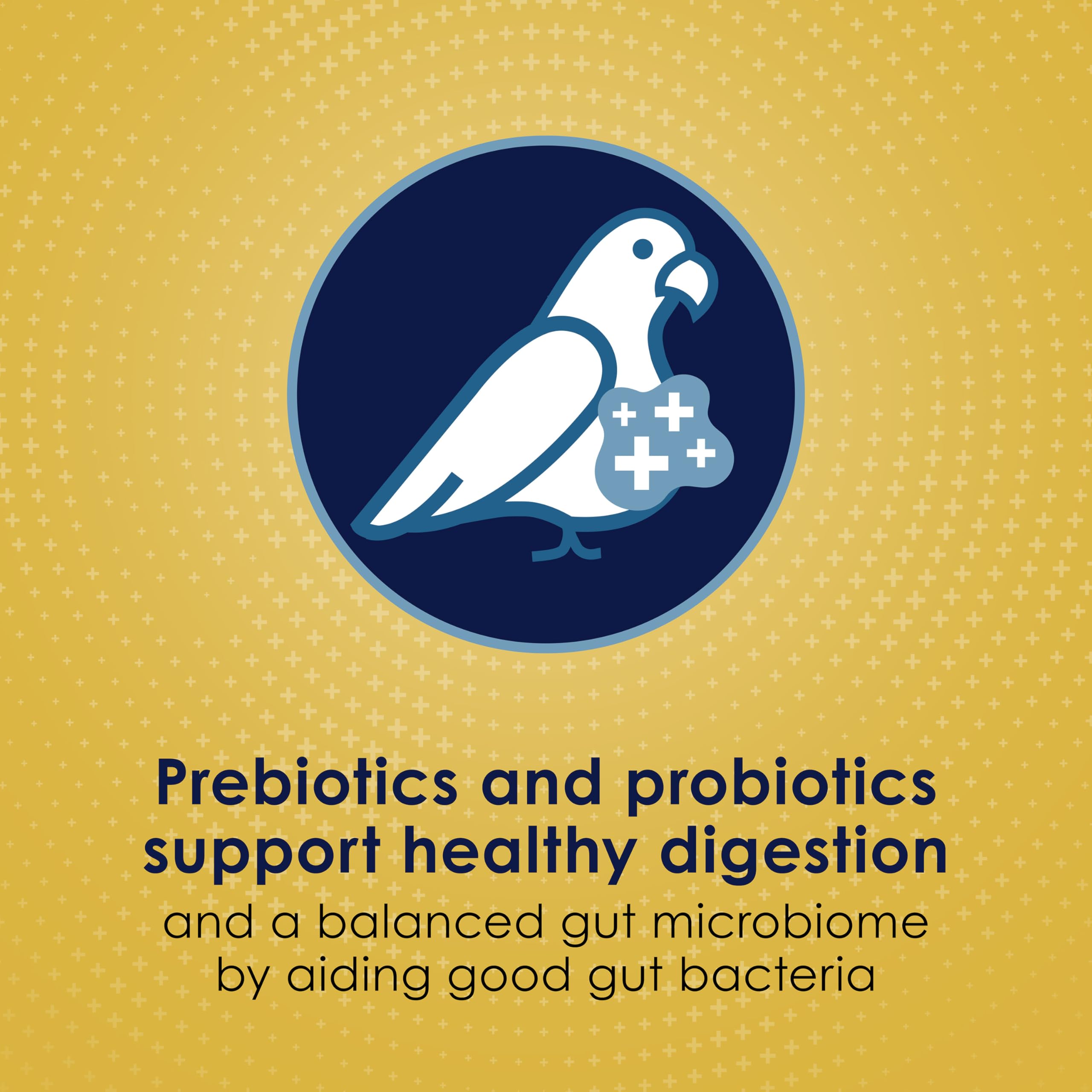 Kaytee Forti-Diet Pro Health Egg-Cite plumage-focused photo promotes skin and feather health