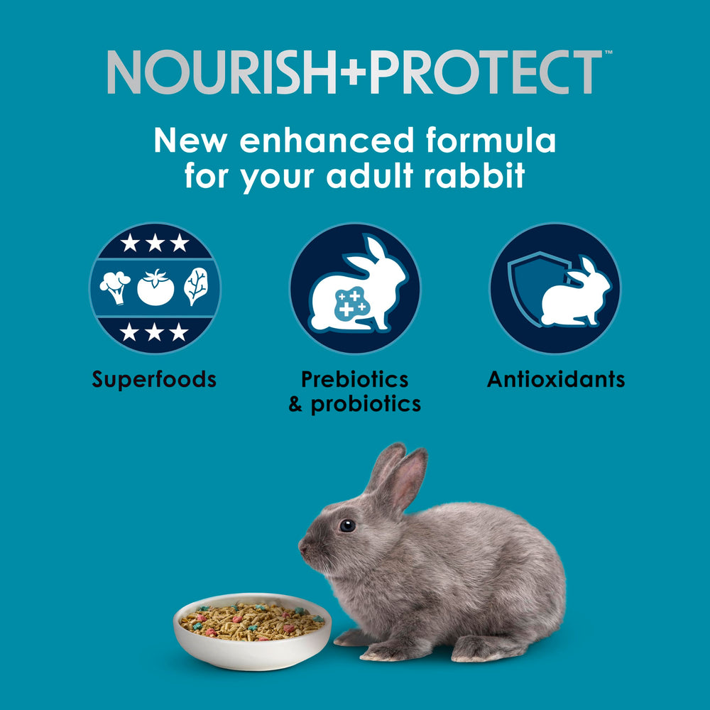 Flax seed and ingredients highlight antioxidant-rich nutrition for rabbits.