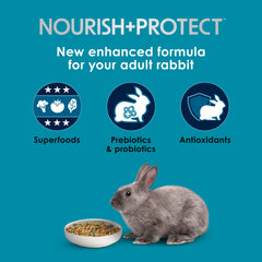 Flax seed and ingredients highlight antioxidant-rich nutrition for rabbits.