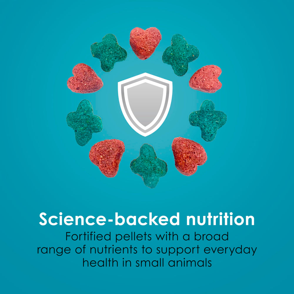Pellets designed to promote consistent intake and dental health with Kaytee Forti-Diet.
