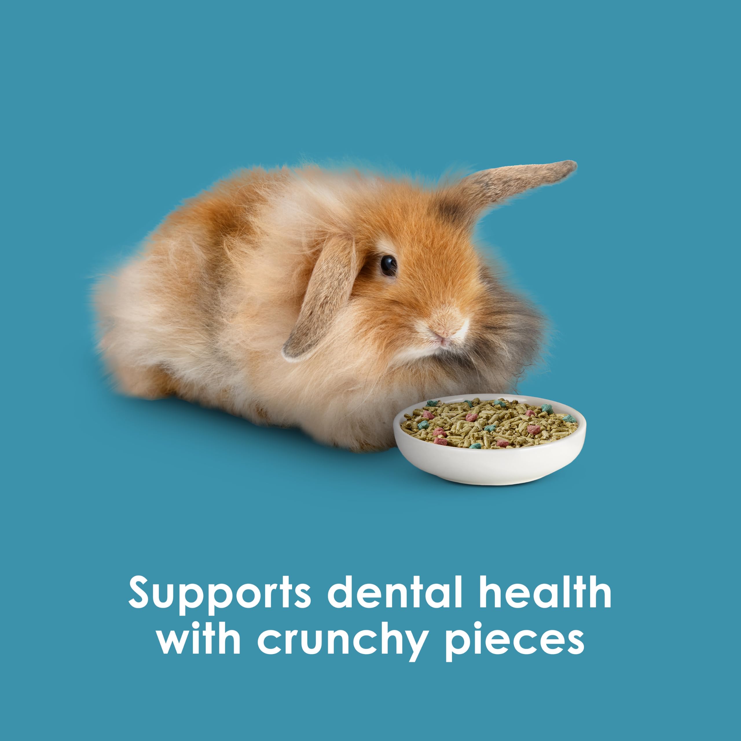 Prebiotics and probiotics support digestive health and nutrient absorption.