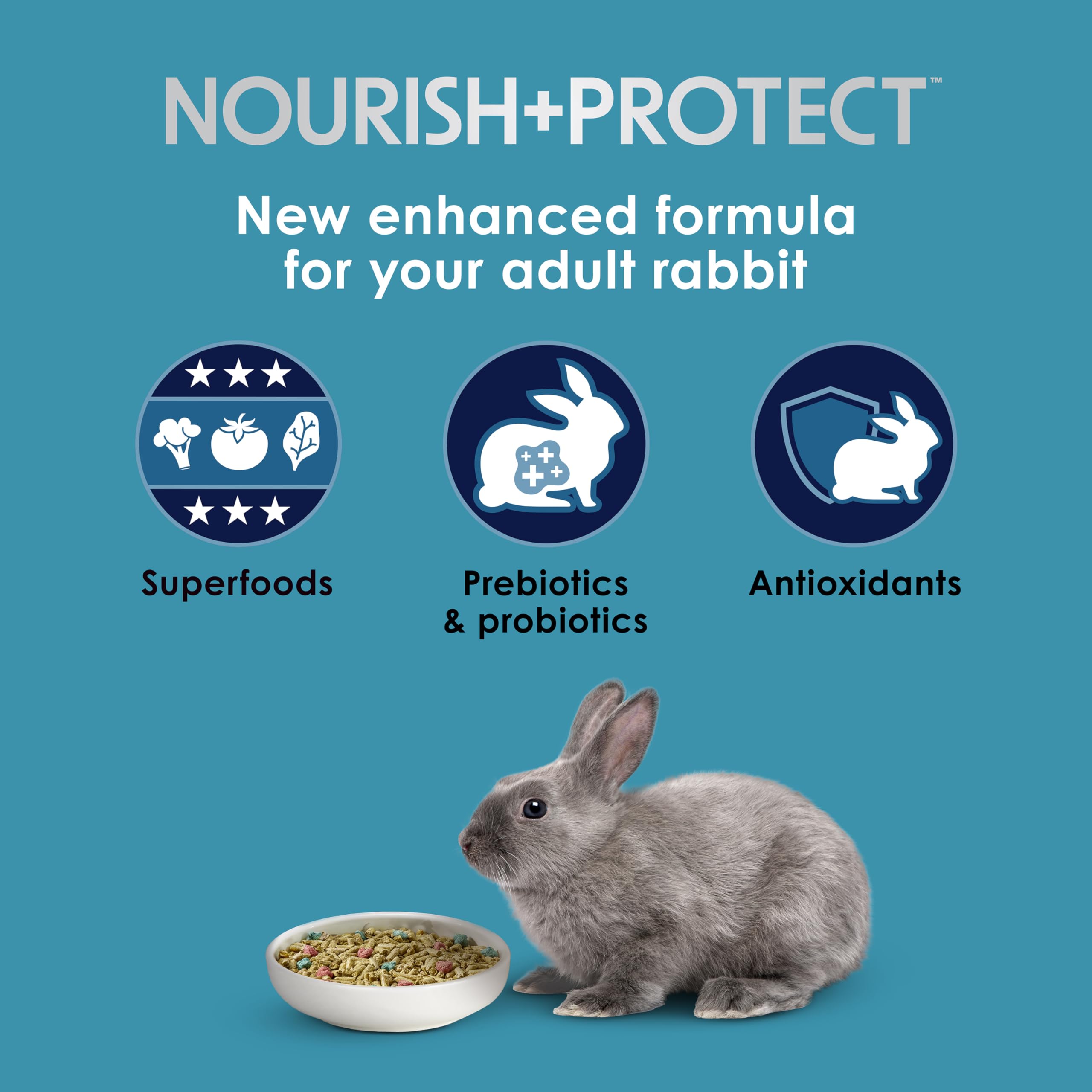 Kaytee Forti-Diet Pro Health Nourish+Protect feeding bowl demonstrates balanced servings.
